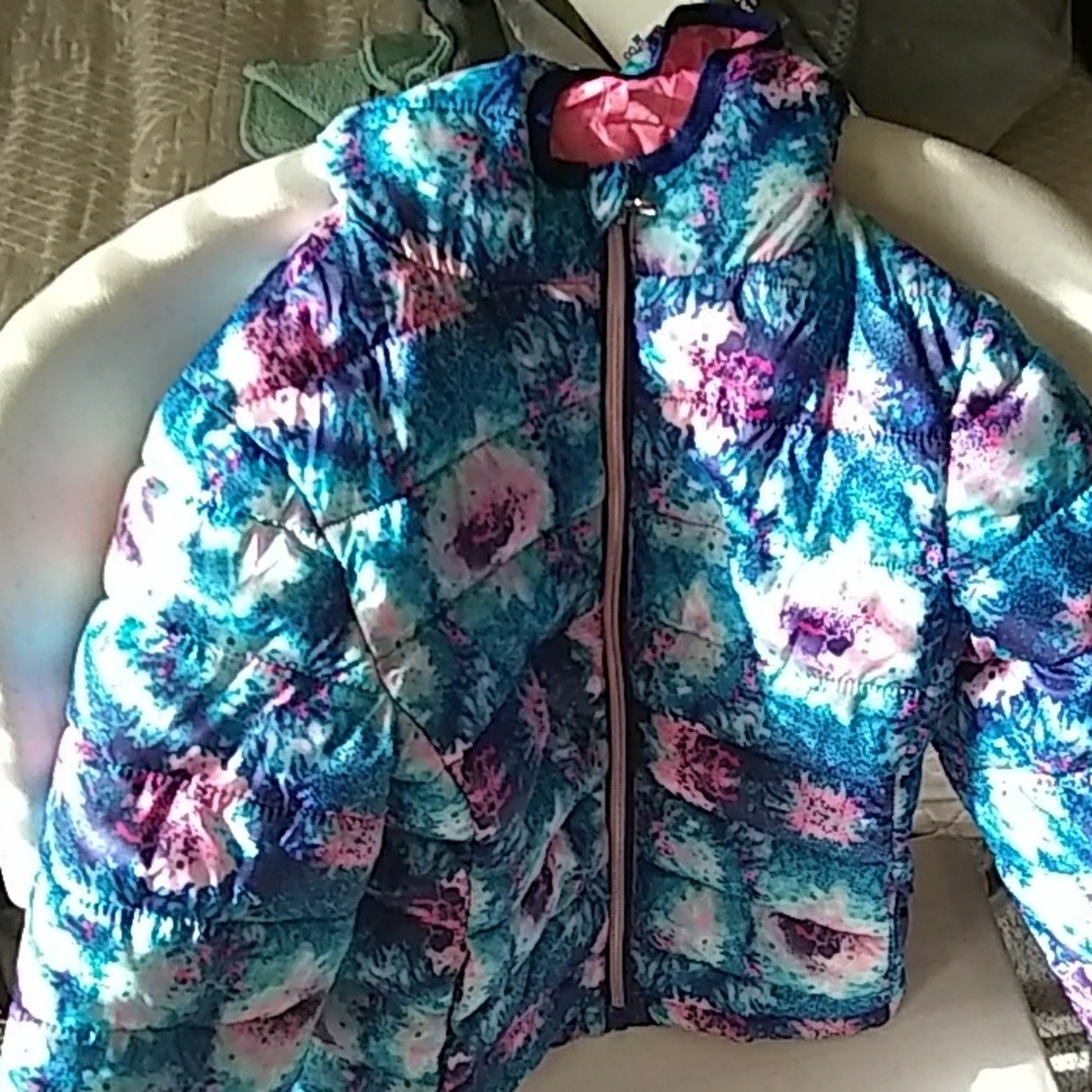 Cute little multi color puffer.